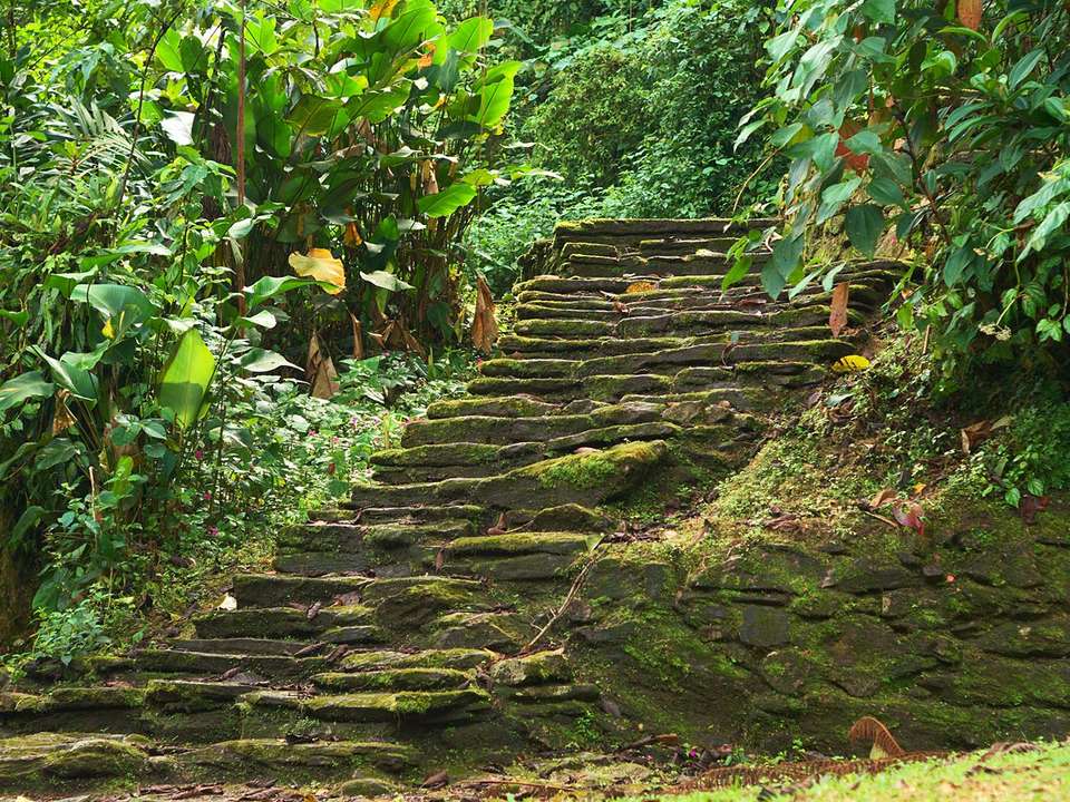 Lost City of Colombia - 8 days - On The Go Tours - Colombia - Image 2