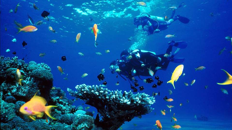Luxury Cairo & Sharm El Sheikh Holiday - Look At Egypt Tours - Egypt - Image 9