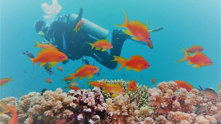 Luxury Cairo & Sharm El Sheikh Holiday trip - alternative tour available