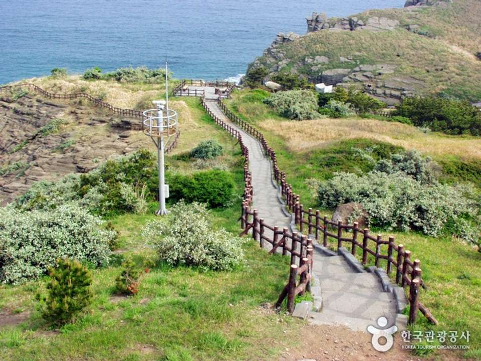 Image 8 of 11