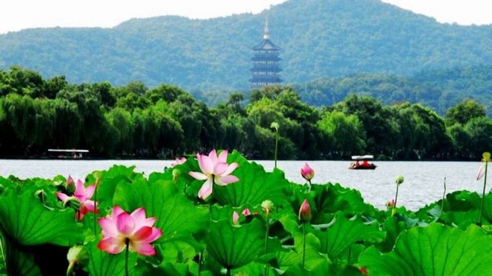 Private Hangzhou tour by Bullet Train - Shanghai Advisor Tour - China