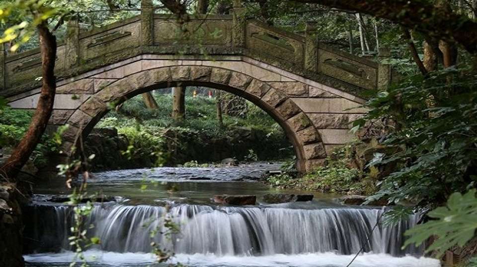 Private Hangzhou tour by Bullet Train - Shanghai Advisor Tour - China