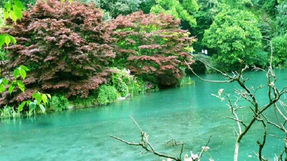 Private Hangzhou tour by Bullet Train - Shanghai Advisor Tour - China