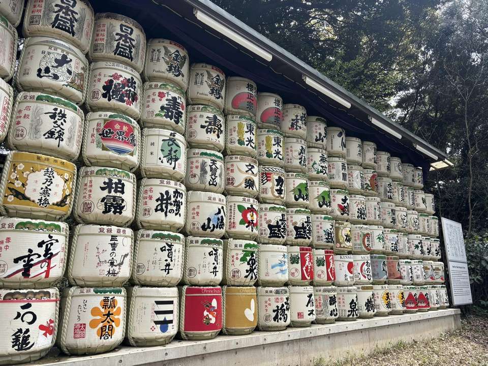 Luxury Japan Wellness Tour - undefined - Image 2