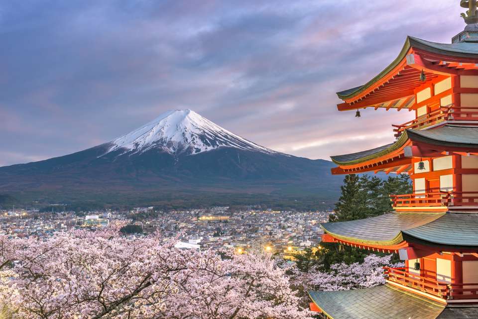Luxury Japan Wellness Tour - undefined - Image 5