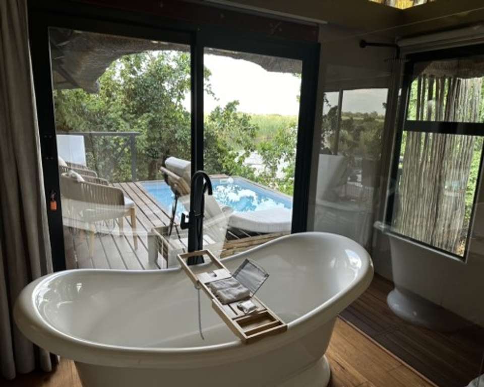 Luxury Southern Africa: A Once-in-a-Lifetime Cruise, Rail, and Tour Experience - Tweet World Travel - South Africa - Image 7