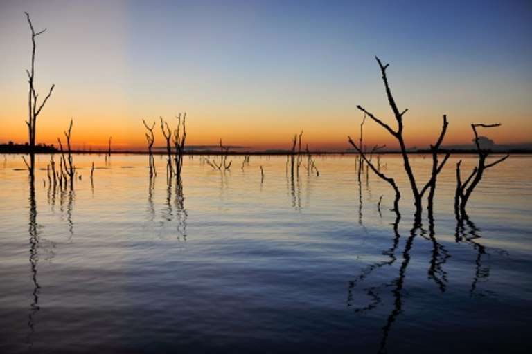Luxury Southern Africa: A Once-in-a-Lifetime Cruise, Rail, and Tour Experience trip - alternative tour available