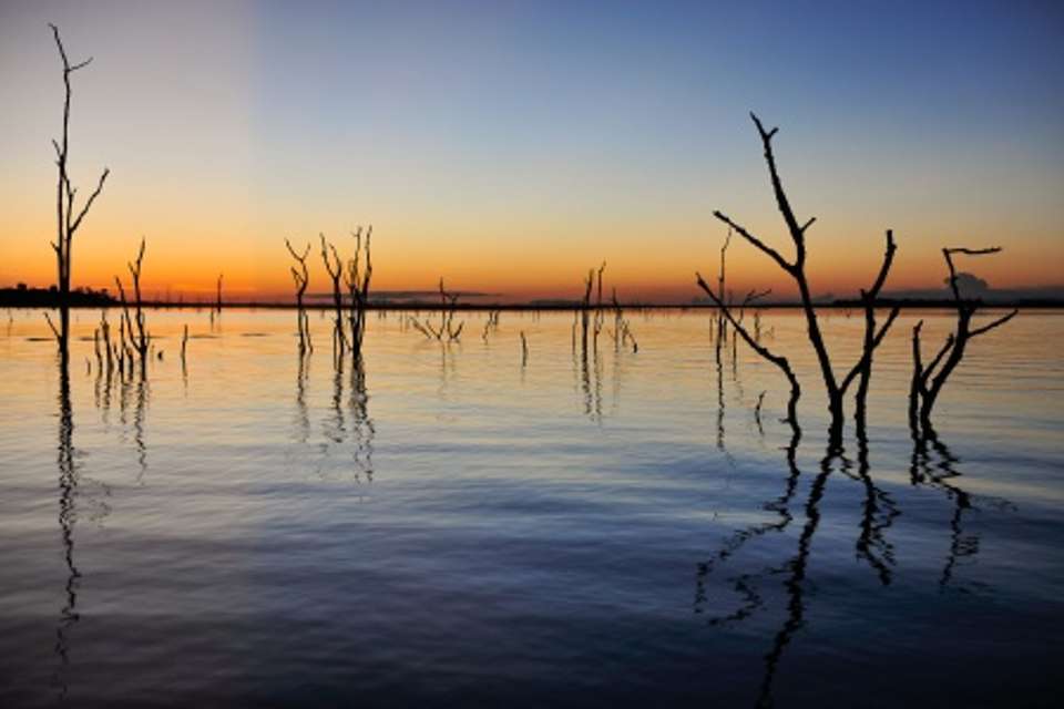Luxury Southern Africa: A Once-in-a-Lifetime Cruise, Rail, and Tour Experience - Tweet World Travel - South Africa - Image 10