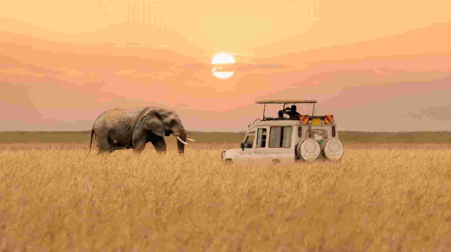 Maasai Mara and Lake Nakuru 4 days