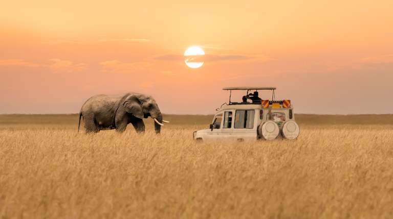 Nairobi Wildlife Tour: Maasai Mara and Lake Nakuru 4 days
