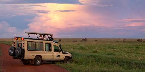 Maasai Mara Safari: Legendary Wildlife & Cultural Safari - August 2027