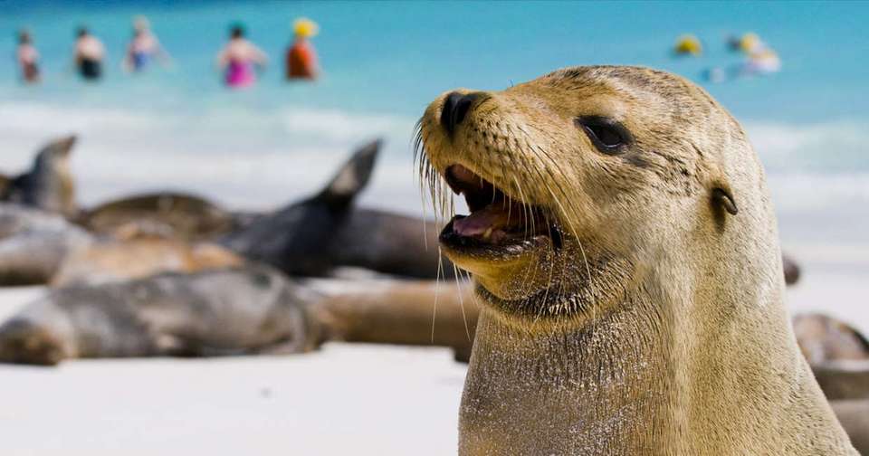 Machu Picchu and Galapagos - Explore - Peru - Image 9