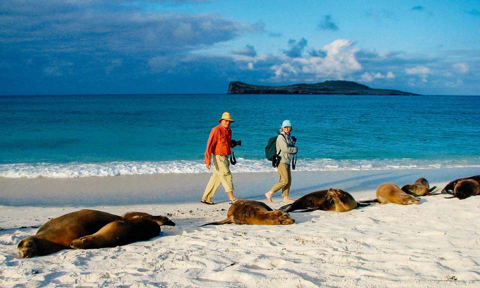 Machu Picchu & Galapagos - Exodus Adventure Travels - Peru - Image 23