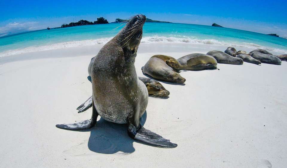 Machu Picchu & Galapagos - Exodus Adventure Travels - Peru - Image 21