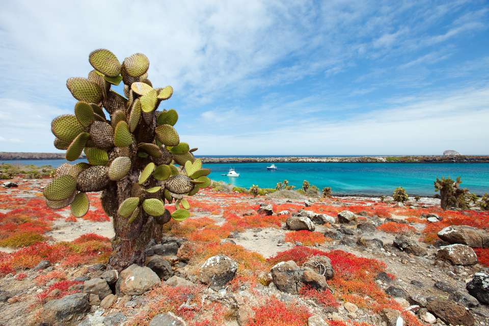 Machu Picchu & Galapagos - Exodus Adventure Travels - Peru - Image 20