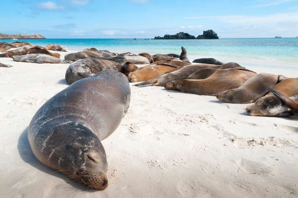 Machu Picchu & Galapagos - Exodus Adventure Travels - Peru - Image 16