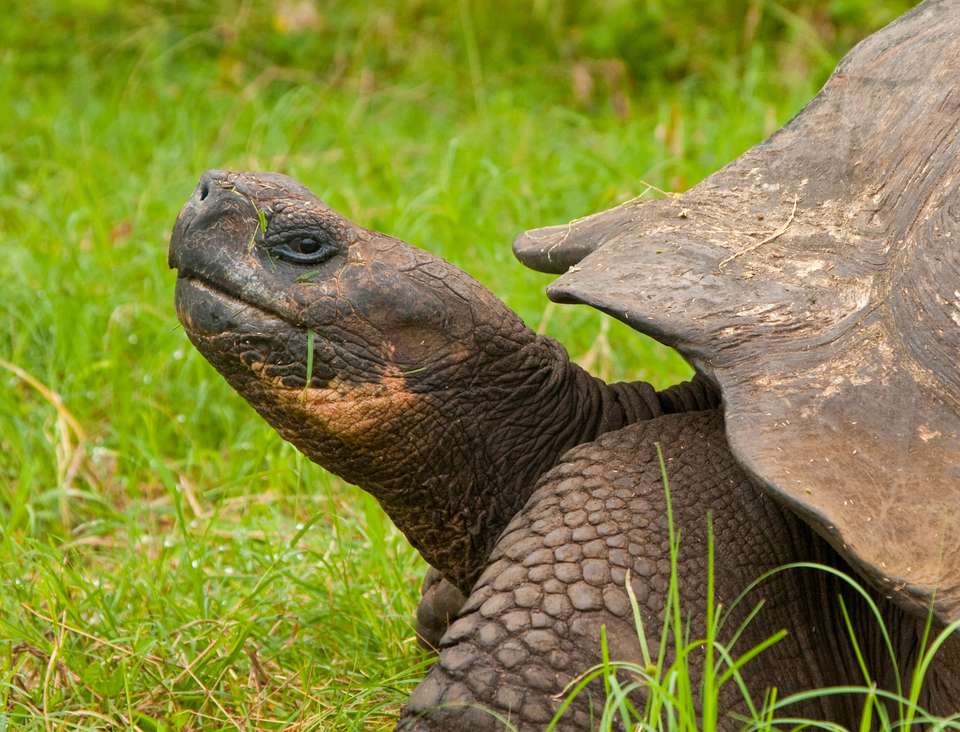 Machu Picchu & Galapagos - Exodus Adventure Travels - Peru - Image 14