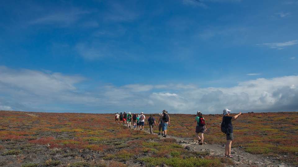 Machu Picchu & Galapagos - Exodus Adventure Travels - Peru - Image 13