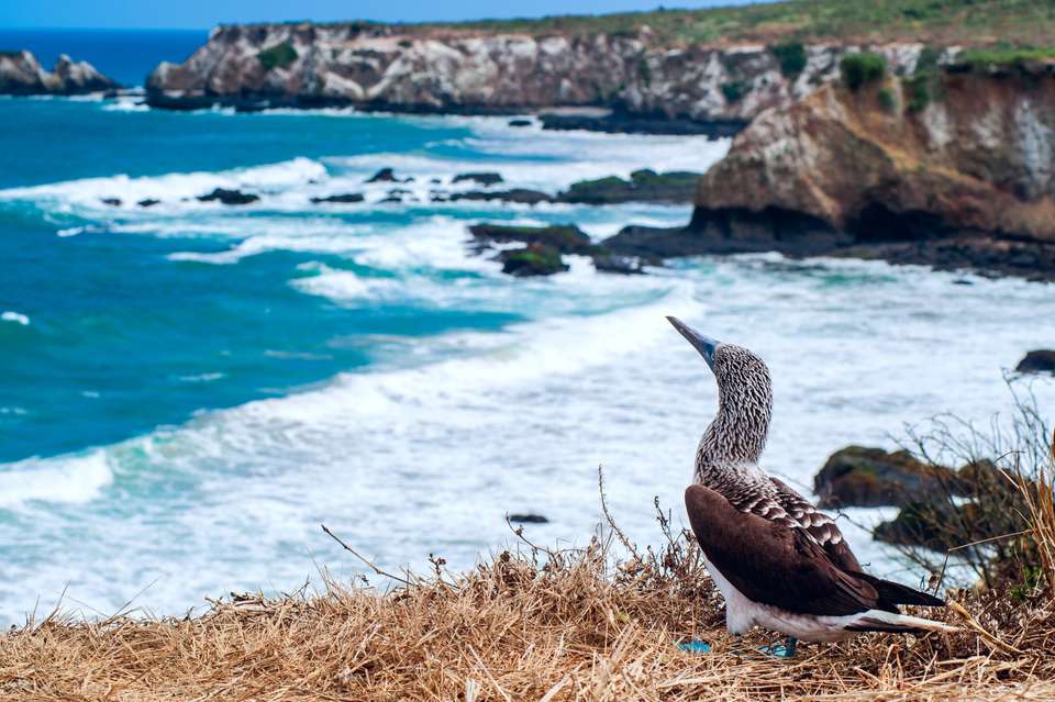 Machu Picchu & Galapagos - Exodus Adventure Travels - Peru - Image 11