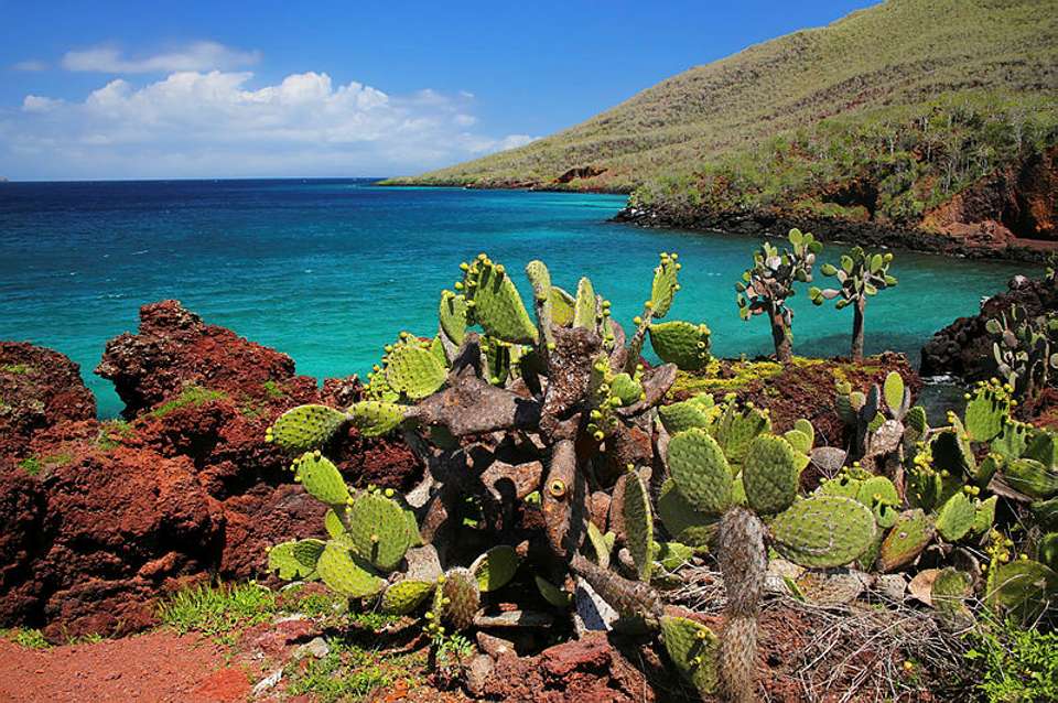 Machu Picchu & Galapagos - Exodus Adventure Travels - Peru - Image 10