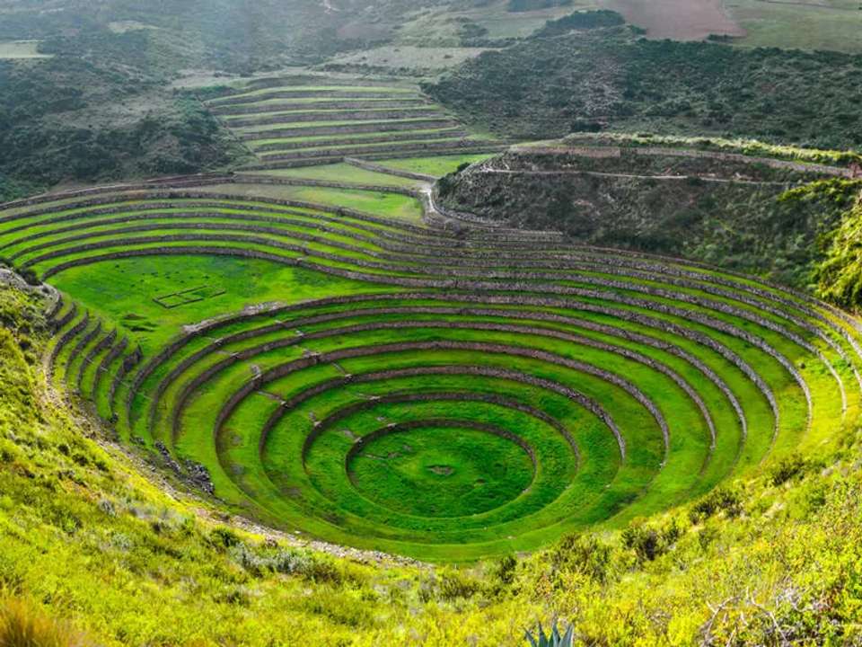 Machu Picchu and Galapagos - undefined - Image 7