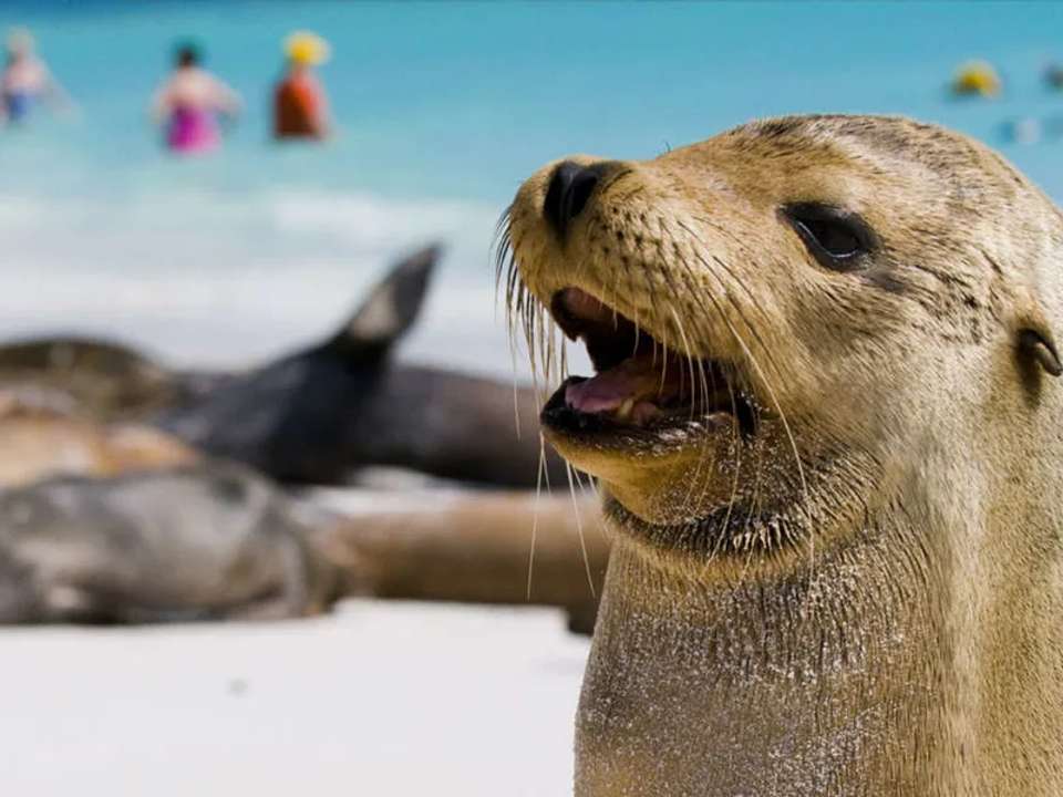 Machu Picchu and Galapagos - undefined - Image 6