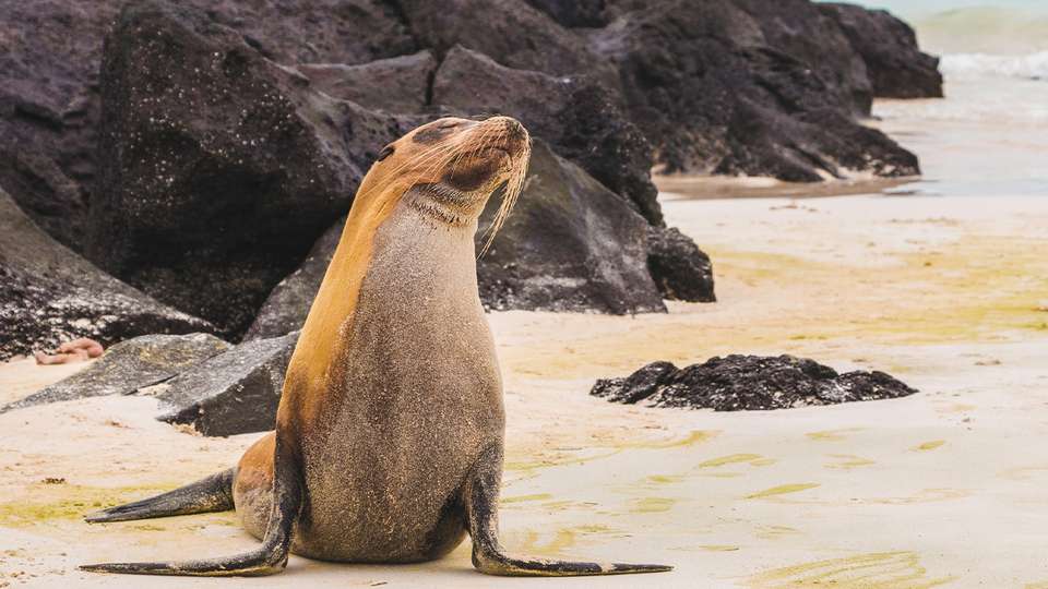 Machu Picchu & Galapagos Wonders featuring a 4-Night Cruise to the South Islands - Collette Tours - Peru - Image 2