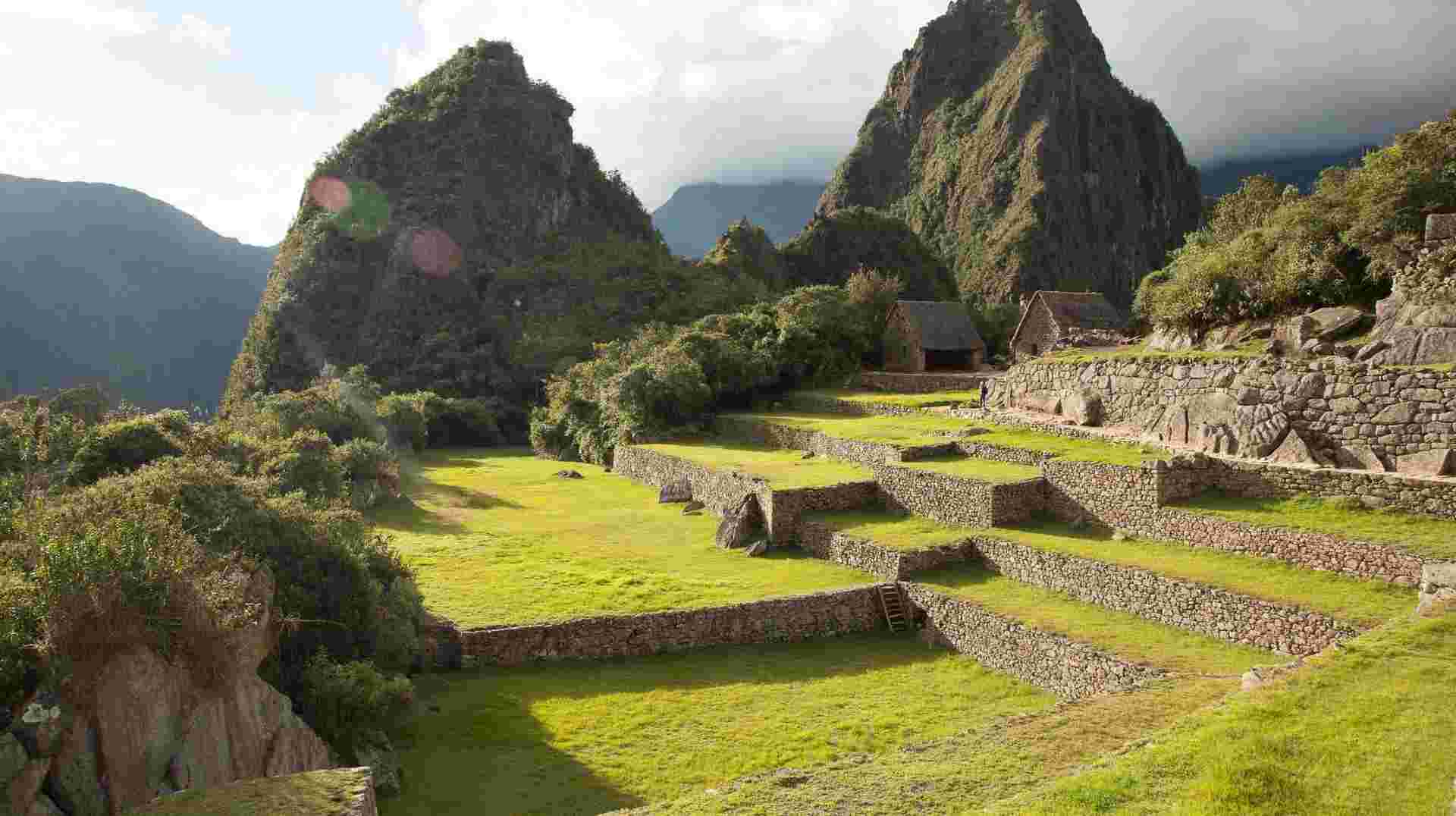 Machu Picchu and The Amazon