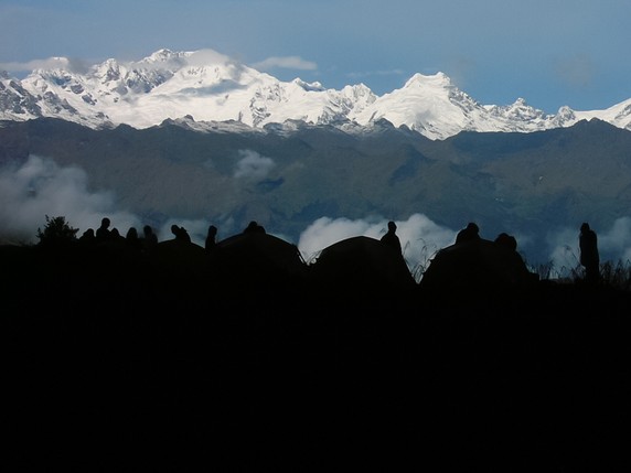 Image 4 of 21