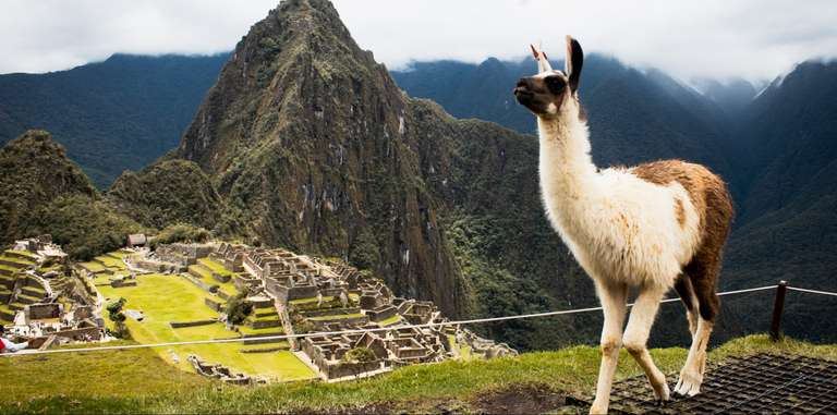 Machu Picchu by Train 2D/1N (Sleep in Aguas Calientes) - 2 days