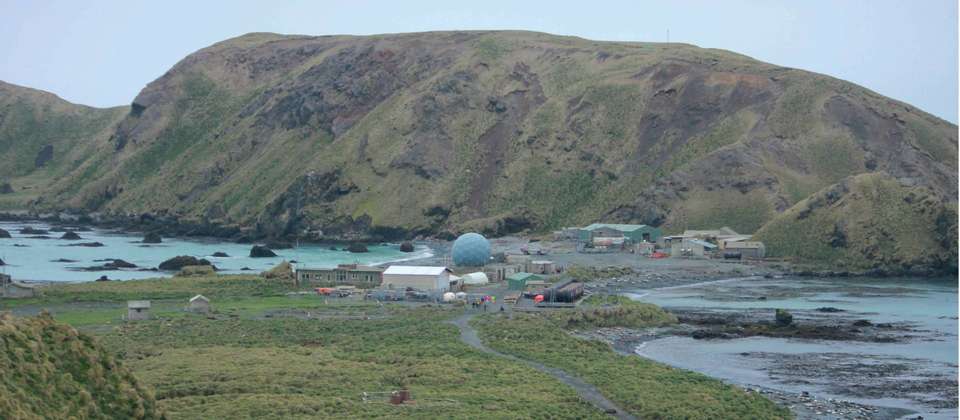 Macquarie Island Adventure - Galapagos of the Southern Ocean - undefined - Image 11
