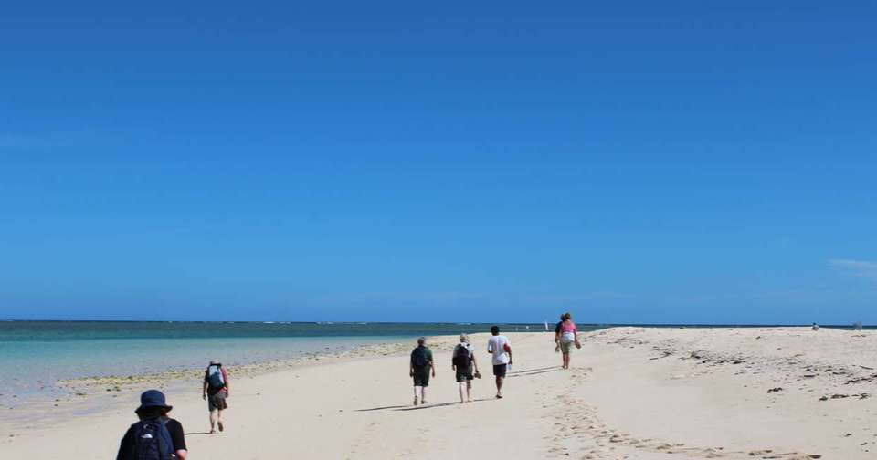 Madagascar: The Lost Continent - undefined - Image 6
