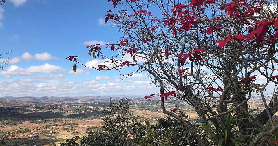 Madagascar: The Lost Continent - undefined - Image 7