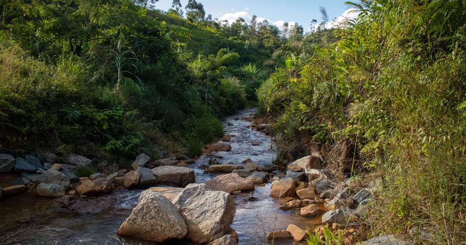 Madagascar Wilderness Trek - Explore - Madagascar - Image 4