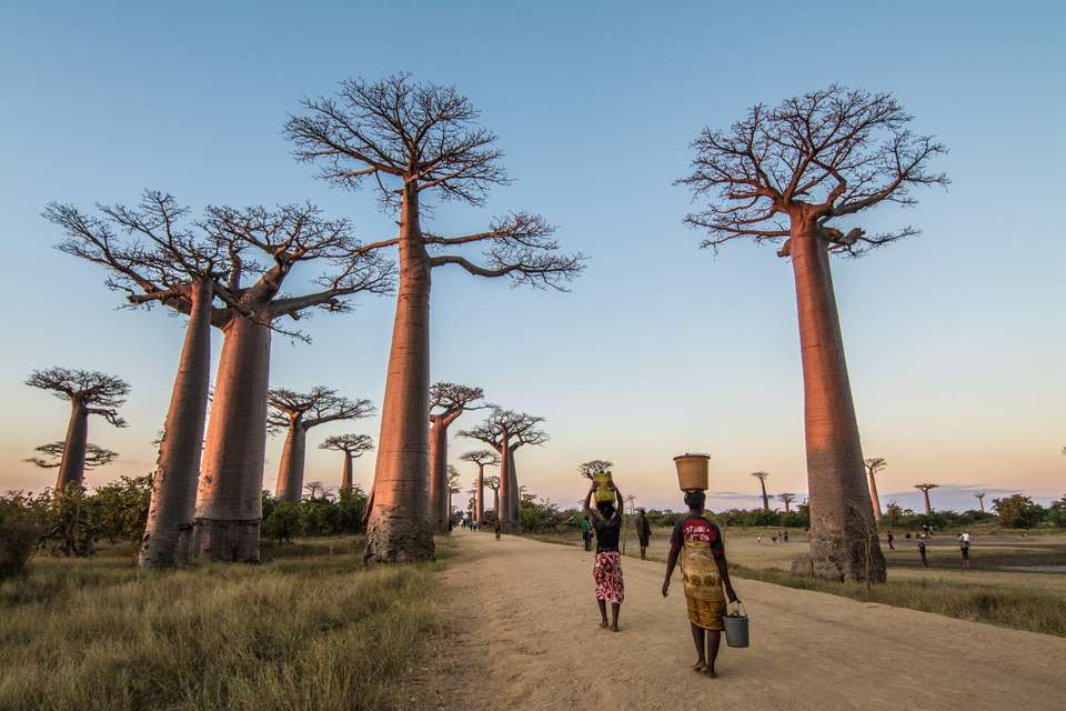 Madagascar Wildlife Adventure - Exodus Adventure Travels - Madagascar - Image 1