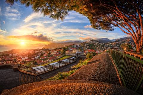 Portugal Senior Travelers: Madeira Discovery (2027)