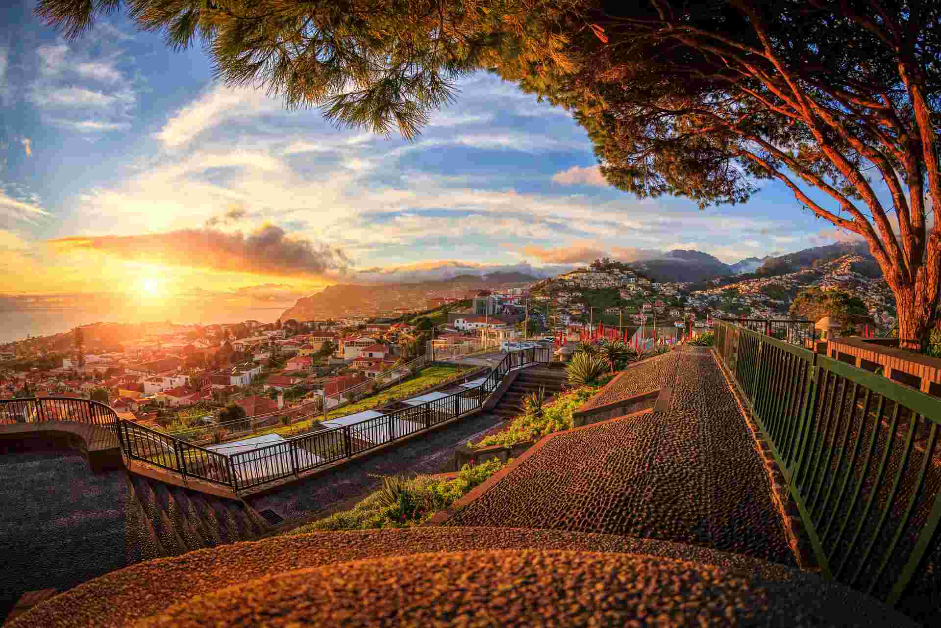 Madeira Discovery - Premium Adventure