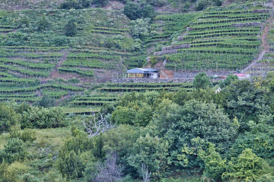 Madeira Discovery - Premium Adventure - Exodus Adventure Travels - Portugal - Image 12