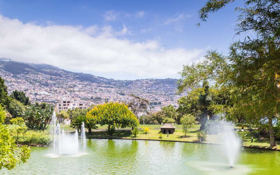 Madeira Discovery - Premium Adventure - Exodus Adventure Travels - Portugal - Image 10
