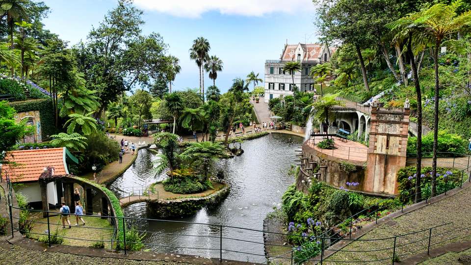 Madeira Discovery - Premium Adventure - Exodus Adventure Travels - Portugal - Image 7