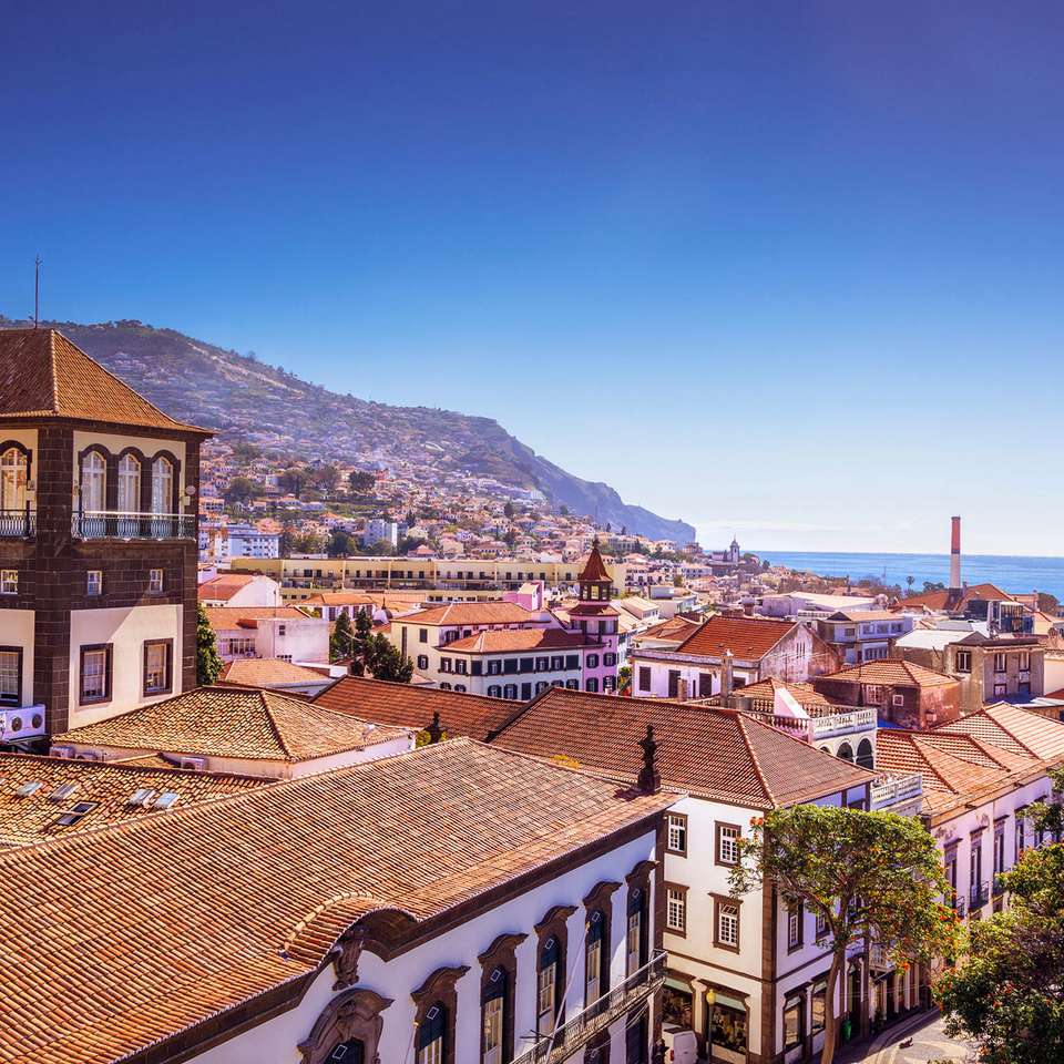 Madeira Island Escape - Small Group - Trafalgar - Portugal - Image 1