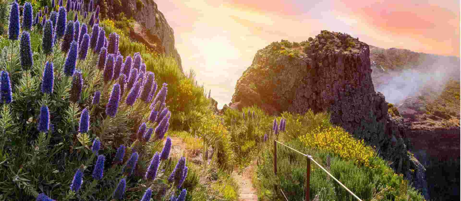 Madeira Island Walking