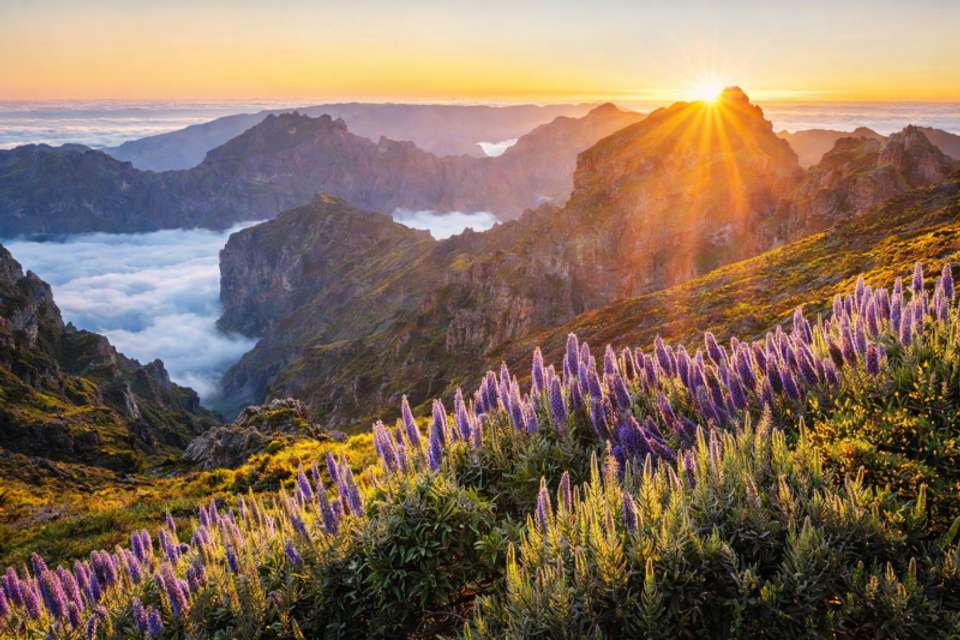 Madeira Uncovered: A 6-Day Island Discovery - Omega Tours - Portugal - Image 5
