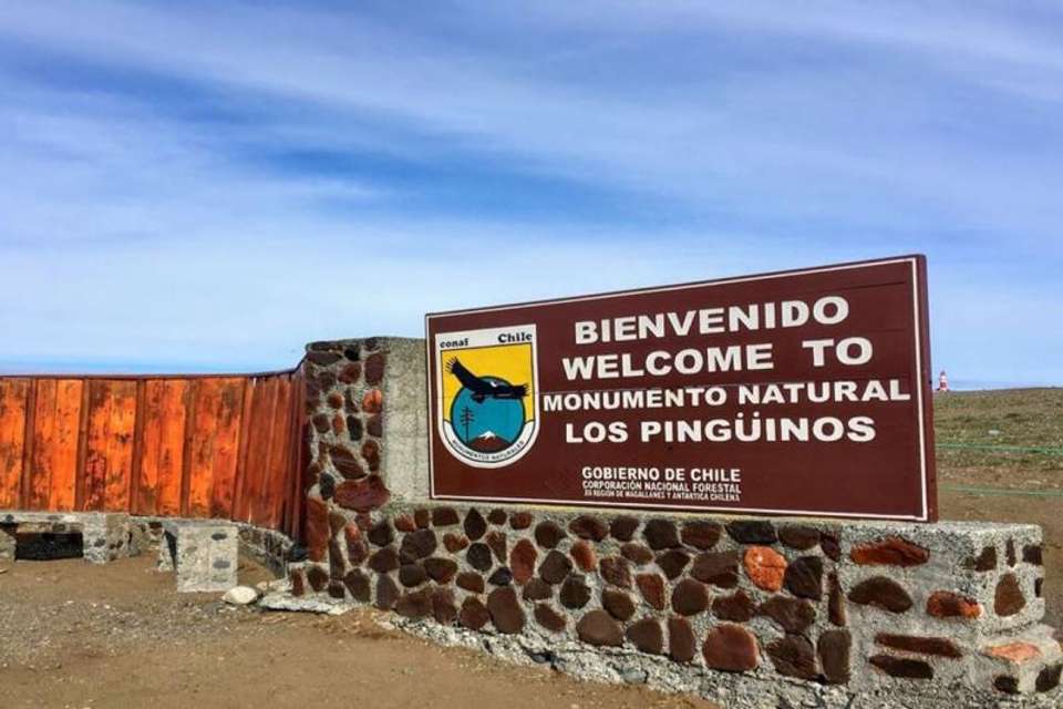 Magdalena Island Penguin Watching VIP Tour from Punta Arenas - Tangol Tours - Chile - Image 5