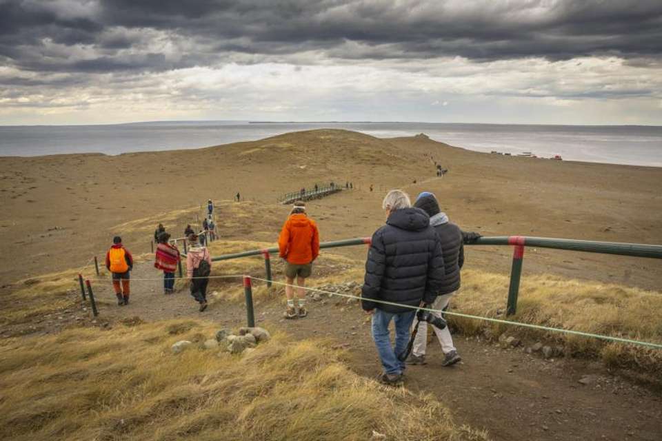 Magdalena Island Penguin Watching VIP Tour from Punta Arenas - Tangol Tours - Chile - Image 9