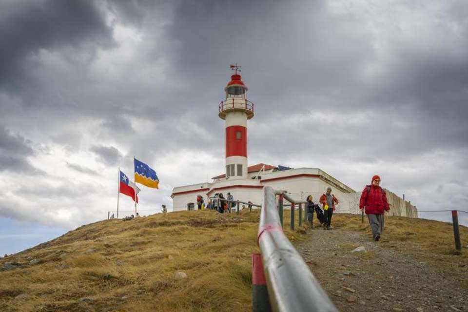 Magdalena Island Penguin Watching VIP Tour from Punta Arenas - Tangol Tours - Chile - Image 10