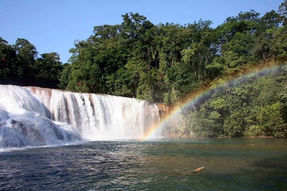 Magic Chiapas - Destination Services - Mexico - Image 9