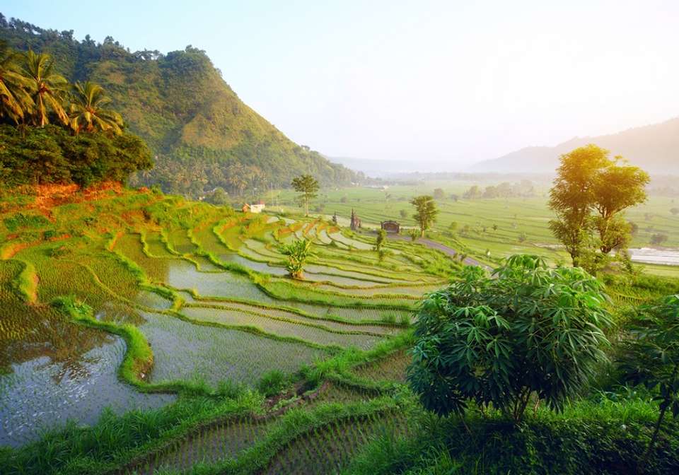 Magic of Bali And Ubud - Indus Travels - Indonesia - Image 4