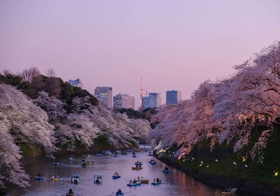 Magic of Japan - Indus Travels - Japan - Image 1