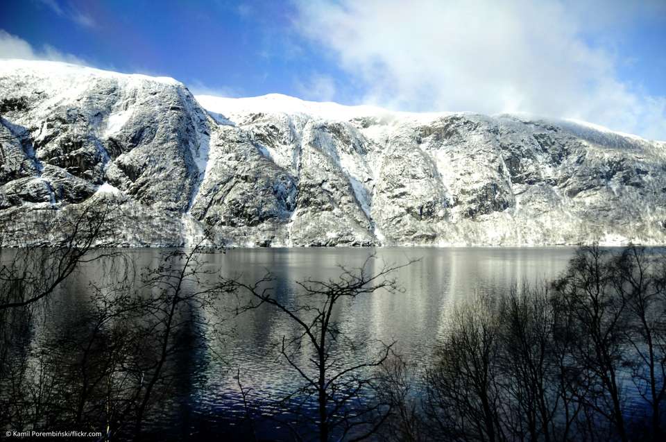 Magic of the fjords - undefined - Image 10